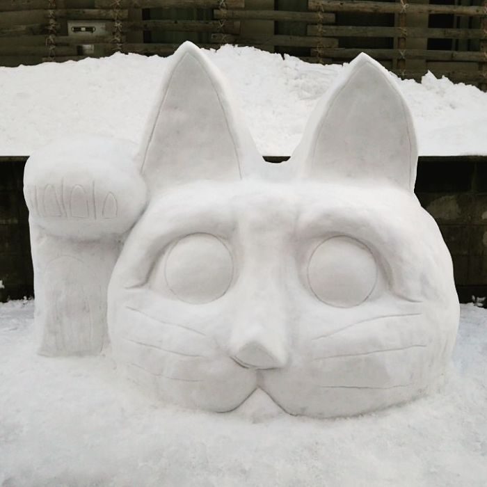 nieve gato