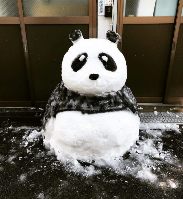 nieve panda