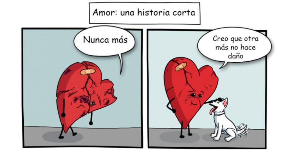 14 comics que muestran el lado amable de cosas malas. 14 comics que muestran el lado amable de cosas malas.