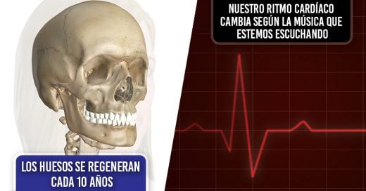 Cover Datos sobre el cuerpo humano que te erizarán la piel