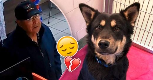 Cover La desgarradora historia de una perrita abandonada con una nota que romperá tu corazón