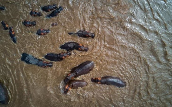 Las mejores fotos en dron 2017