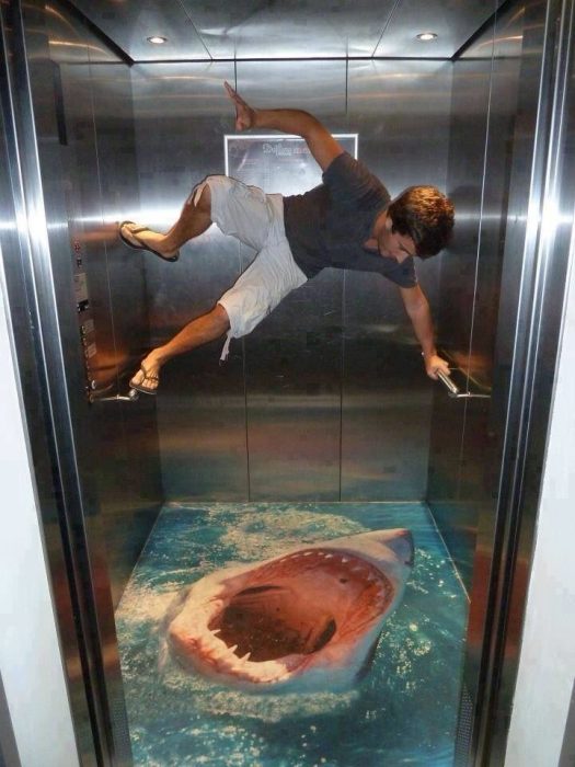 tiburón en elevador