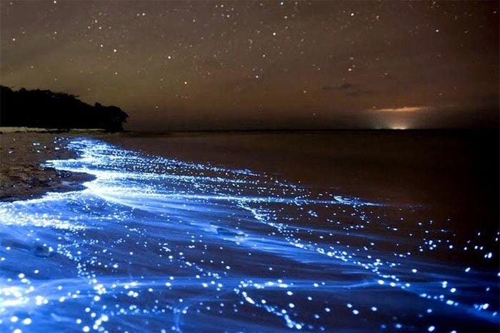 mar de noche con luces