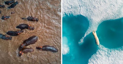 Cover Increíbles fotografías tomadas desde las alturas con un dron