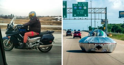 Cover 15 de los más bizarros encuentros en las carreteras