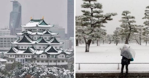 Cover tokio bajo la nieve