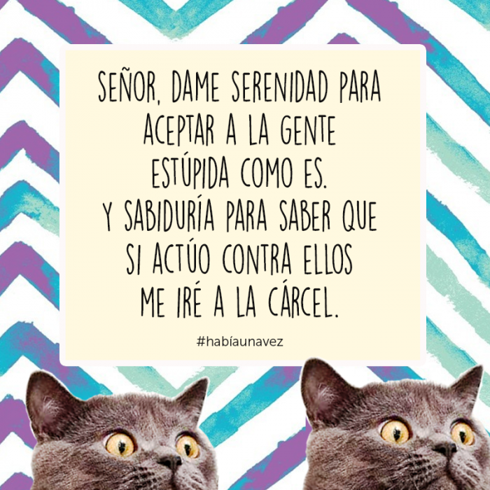 Cosas que los gatos siempre te han querido decir