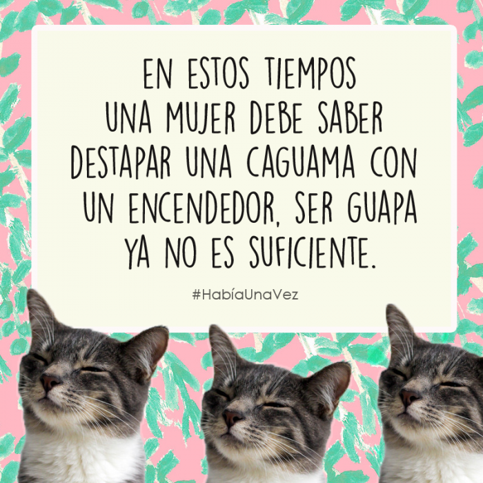 Cosas que los gatos siempre te han querido decir