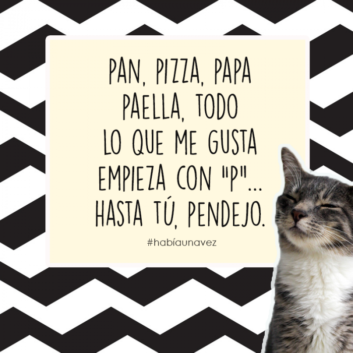 Cosas que los gatos siempre te han querido decir