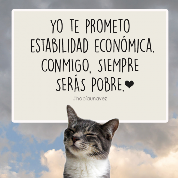 Cosas que los gatos siempre te han querido decir