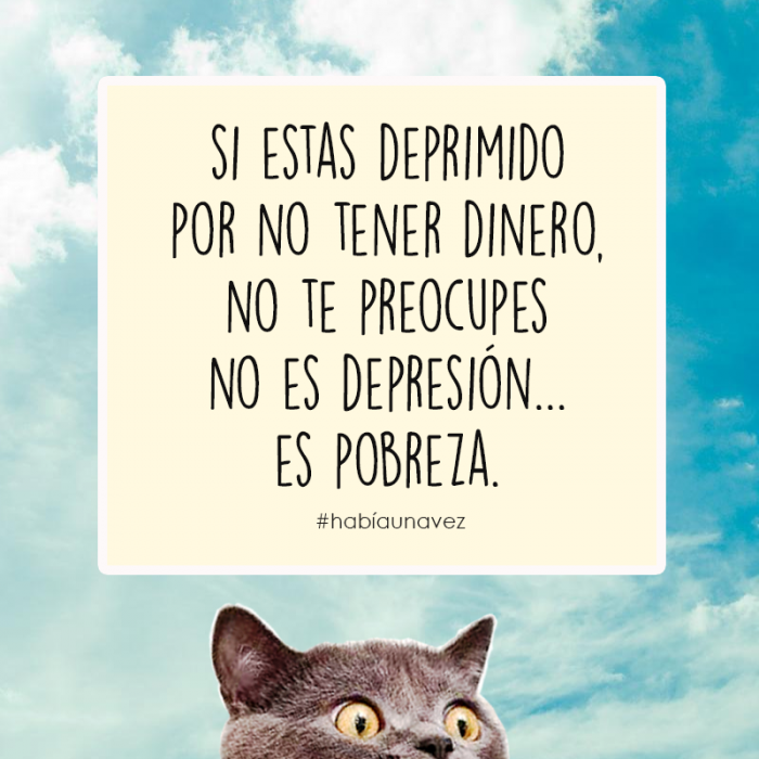 Cosas que los gatos siempre te han querido decir