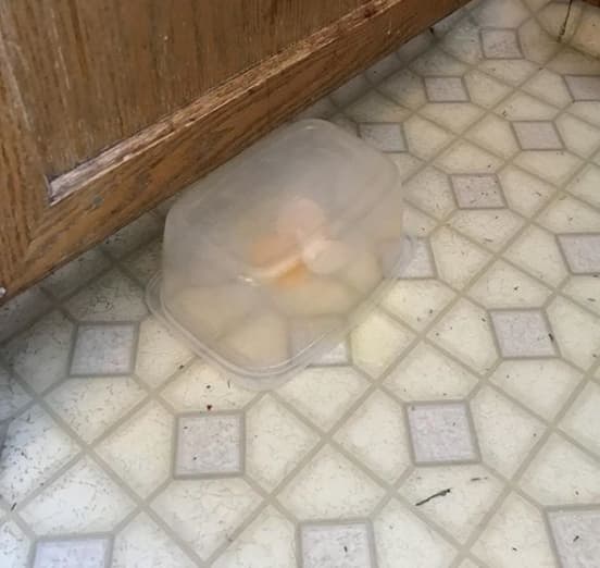 Niño trató de limpiar un huevo 