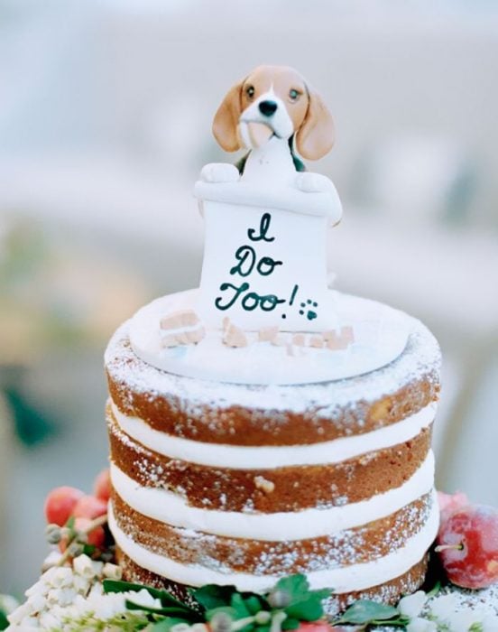 integra a tus perritos en tu boda 