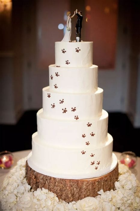 integra a tus perritos en tu boda 