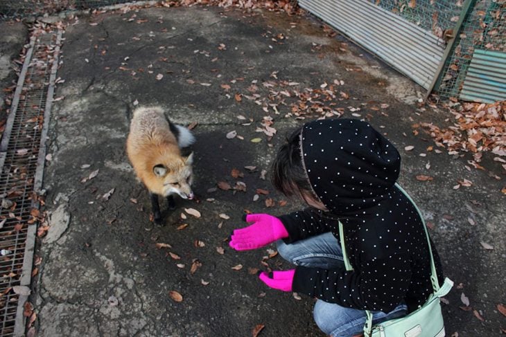 Niña y zorro