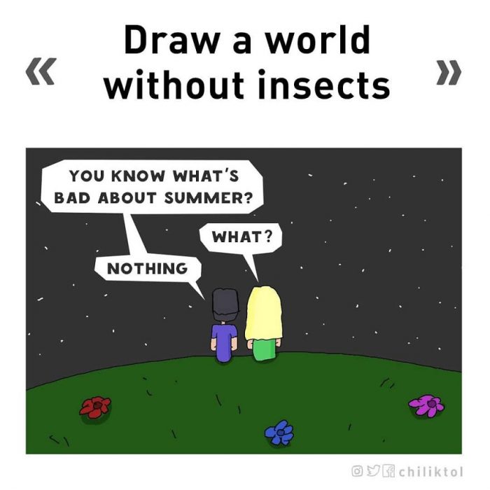 insectos