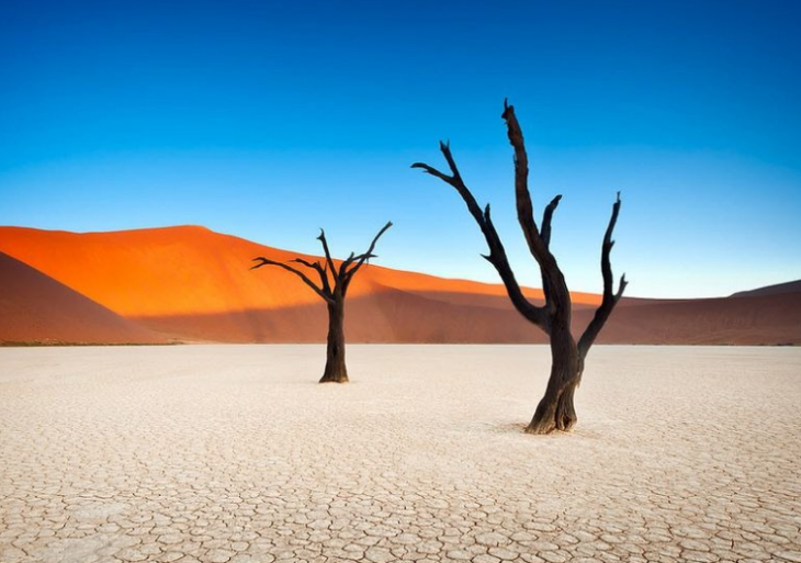 dead vlei