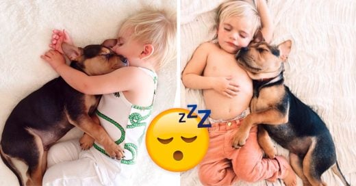 Cover Bebé y cachorro toman sus siestas juntos y es lo más tierno que verás hoy