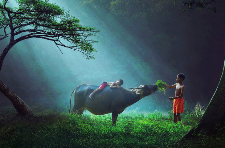 niños en naturaleza 