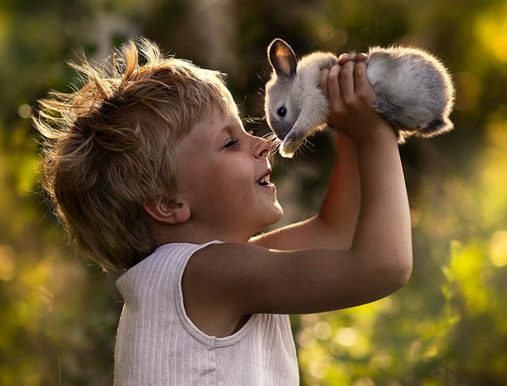 niño sosteniendo a un conejo