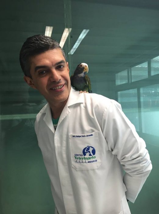 Secretos de un veterinario