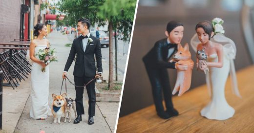 Cover Creativas formas de hacer que tu perrito también asista a la boda