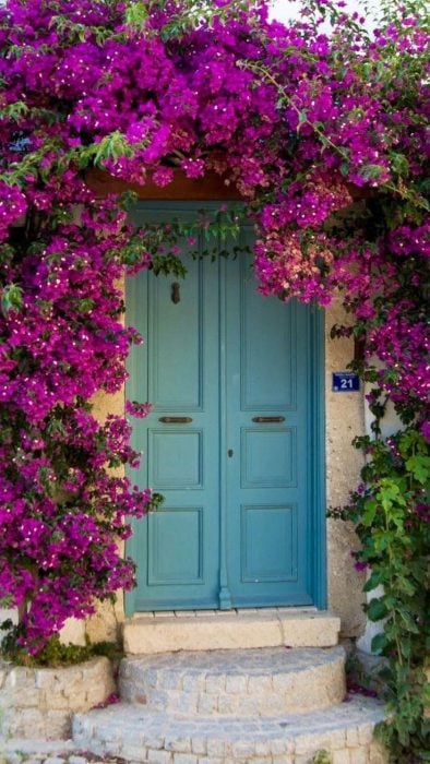 puertas bonitas