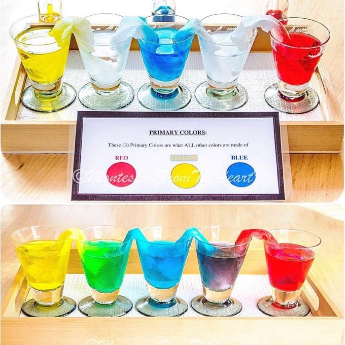 experimento de vasos con agua de colores y papel