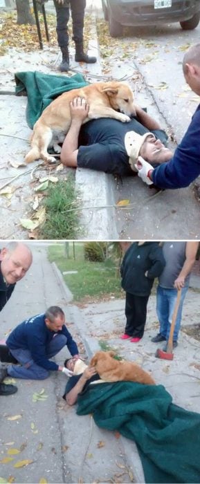 perrito sobre dueño herido en una banqueta