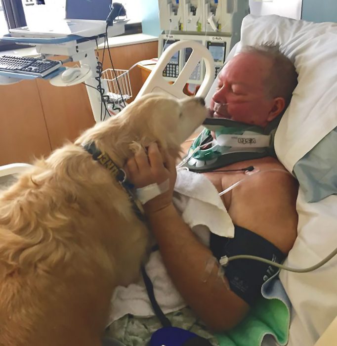 perrito y señor en el hospital