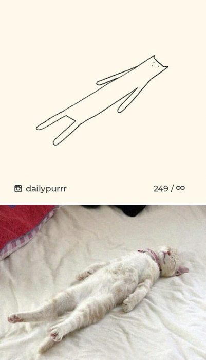 Dibujos de gatos