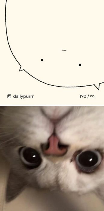 Dibujos de gatos