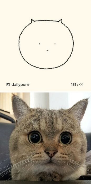 Dibujos de gatos