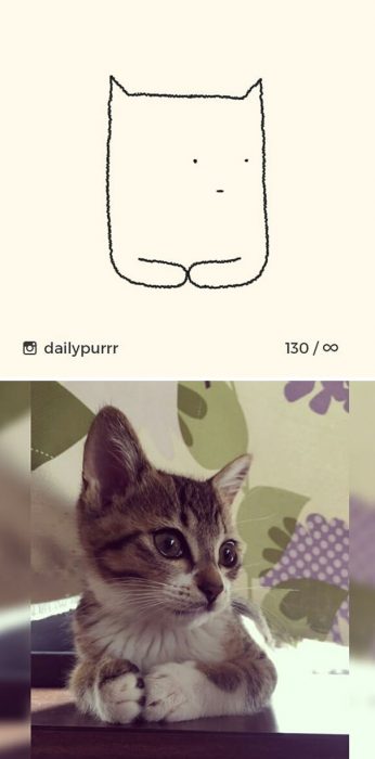 Dibujos de gatos