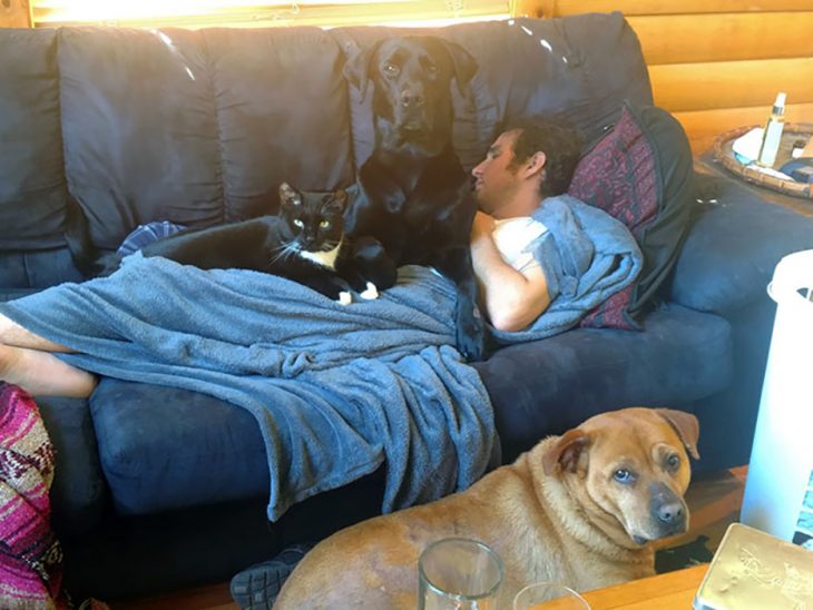 hombre en sofá con dos perros y un gato