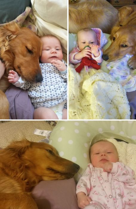 perrito con bebé