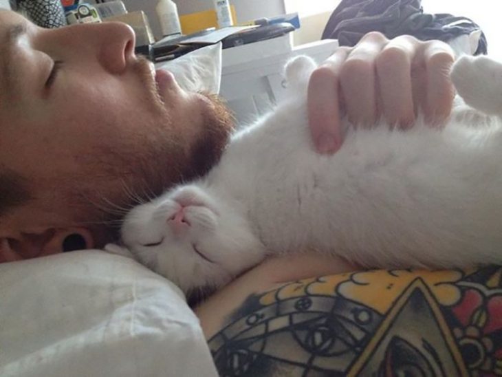 chico de barba pelirroja apapachando a un gatito 