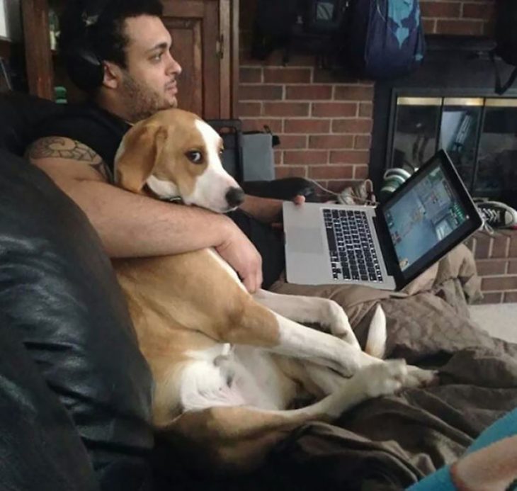 hombre abrazando a perro celoso 