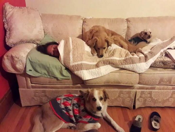señora en el sofá con perritos