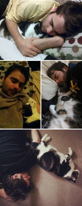 varias fotos de gato y hombre dormidos juntos 