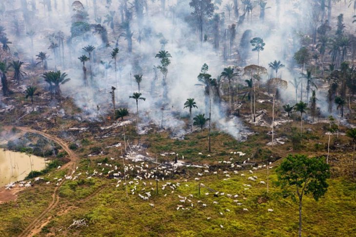 Contaminación