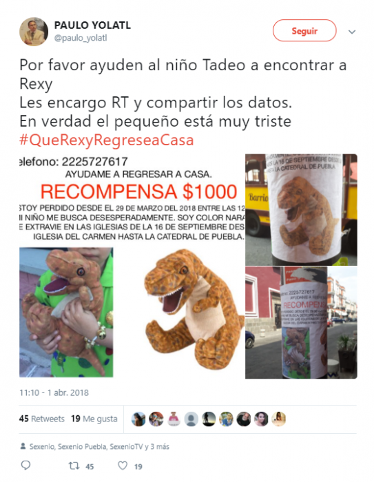 Niño pide ayuda para encontrar a su dinosaurio