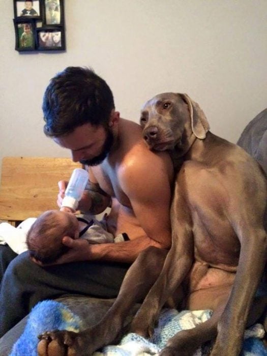 hombre cargando a un bebé mientras un perro se recuesta en su ho,bro 