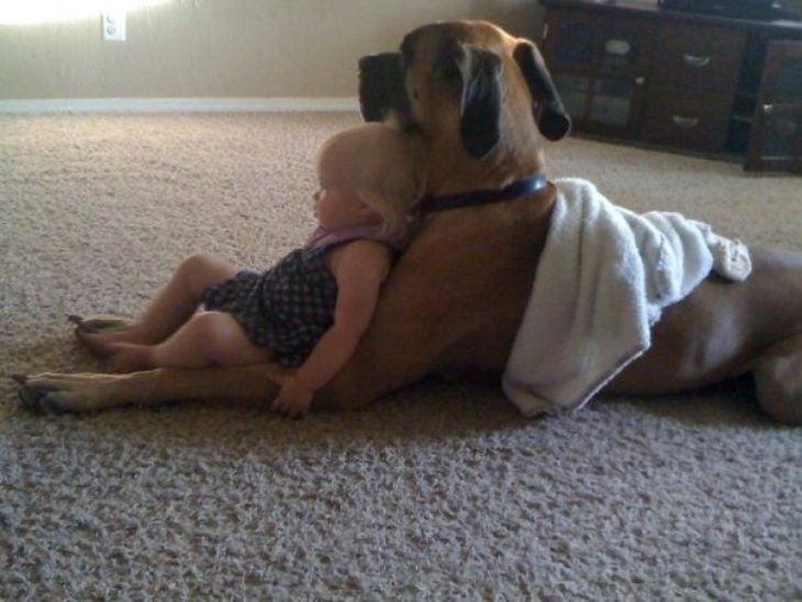 perro y niña viendo televisión 