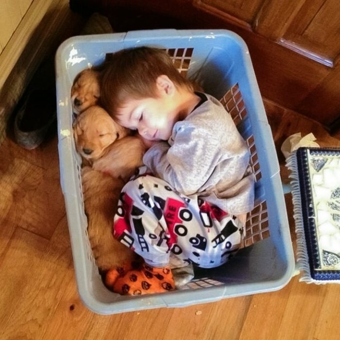 niño dormido con cachorros