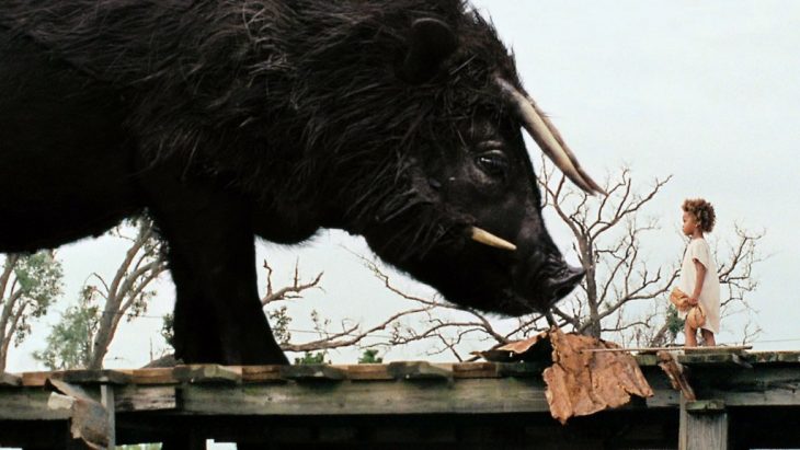 pequeña niña frente a un jabalí gigante