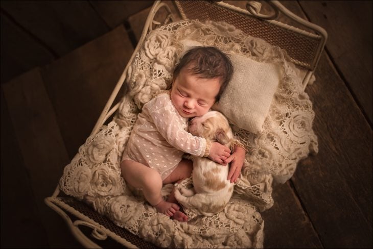 Bebés adorables con animalitos