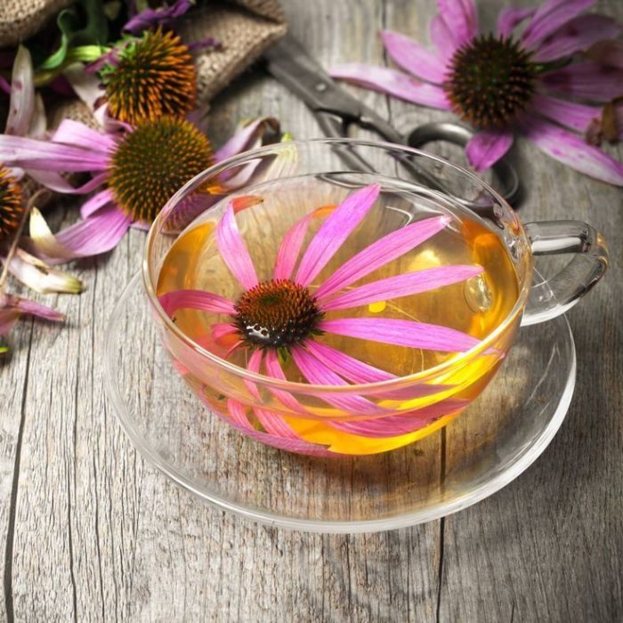 té de flor de equinácea