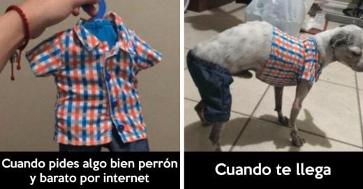 Cover Tuits de personas con un sentido del humor increíble